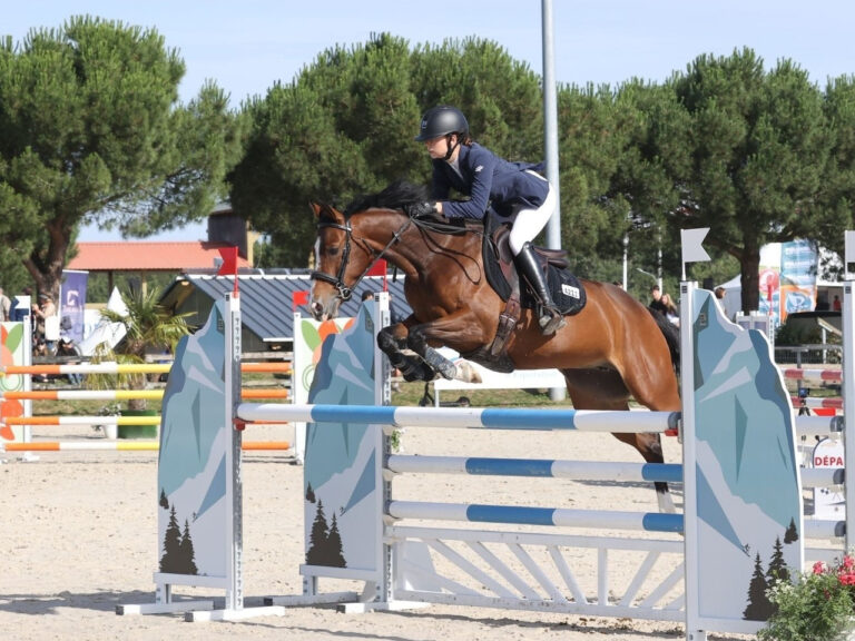 Image portfolio site web Les Écuries de Laventie