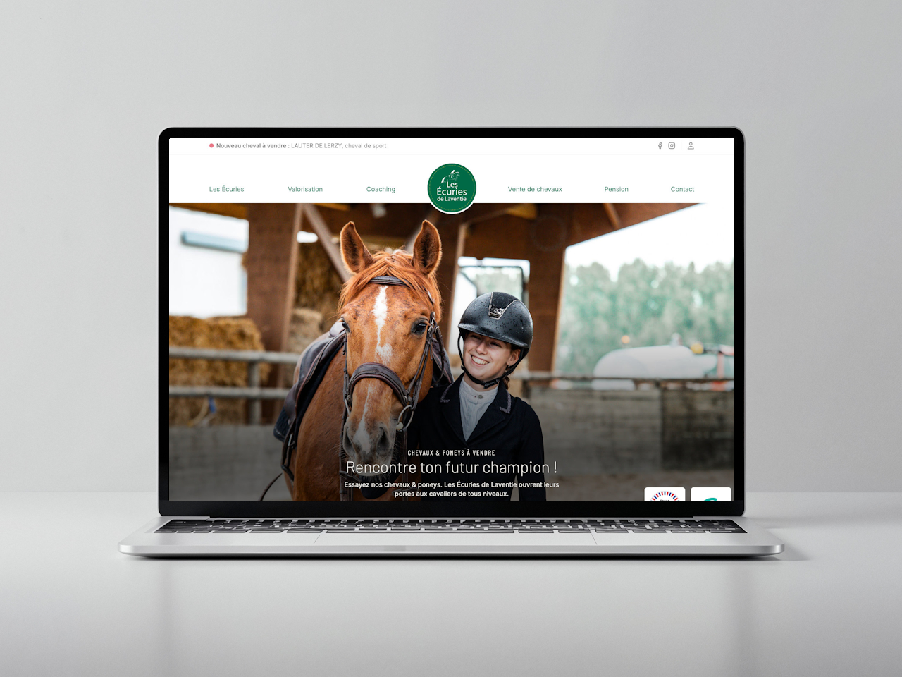 Image de la page d'accueil du site web des Écuries de Laventie